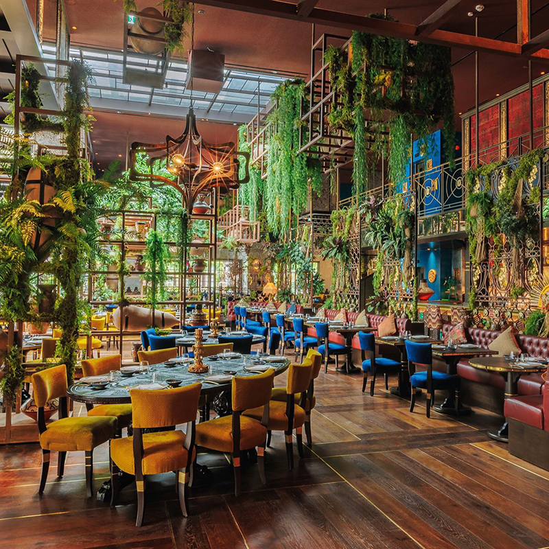 COYA RESTAURANT