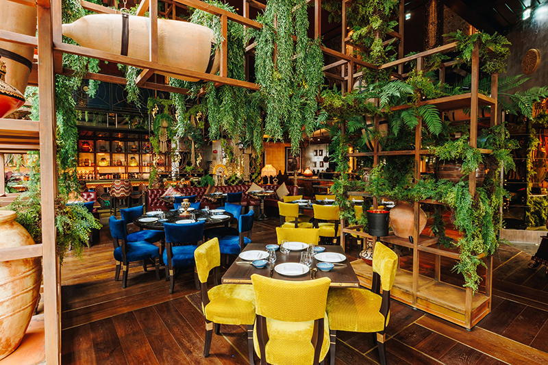 COYA RESTAURANT